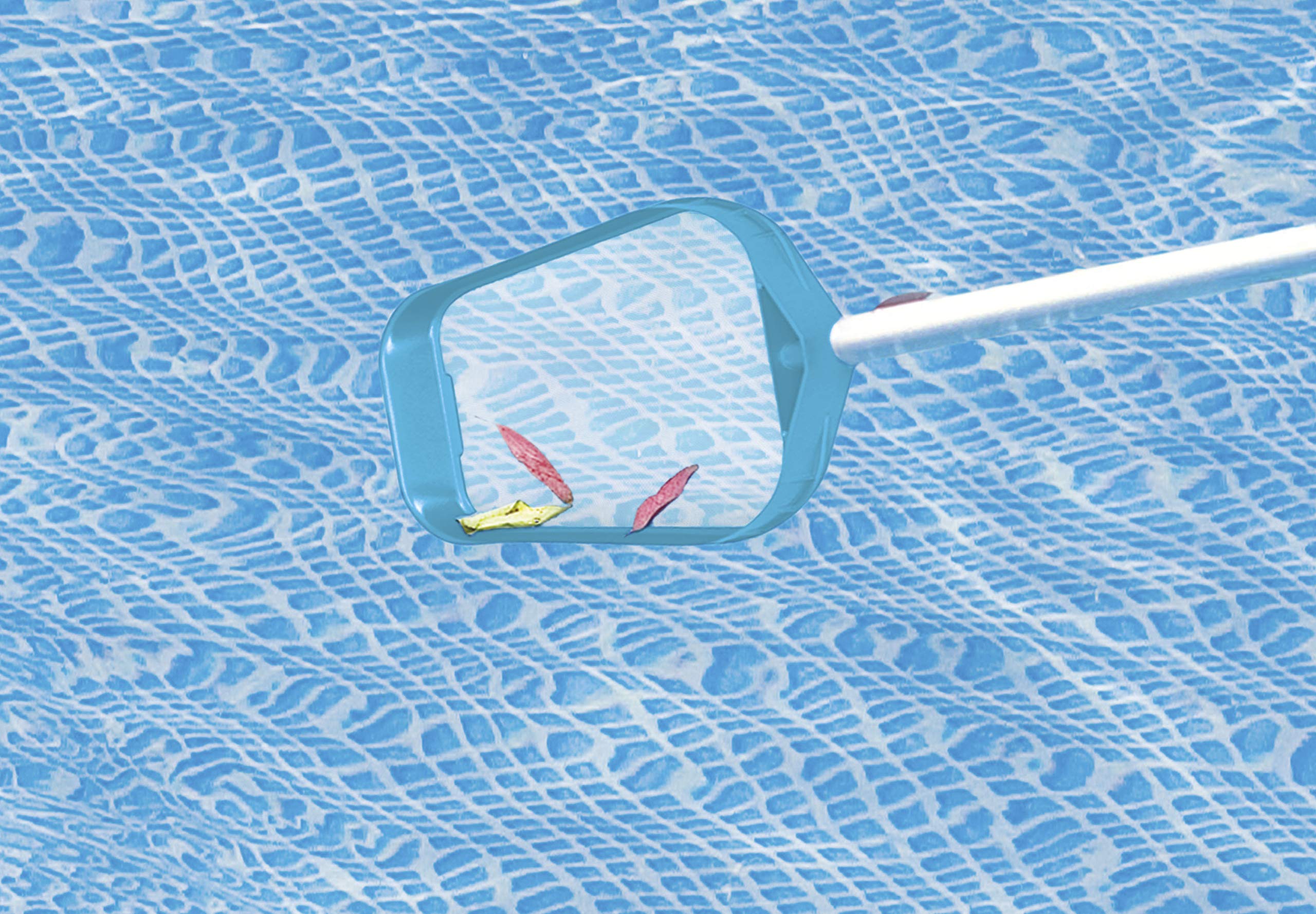 Intex surface skimmer net lifting leaves from the surface of a pool